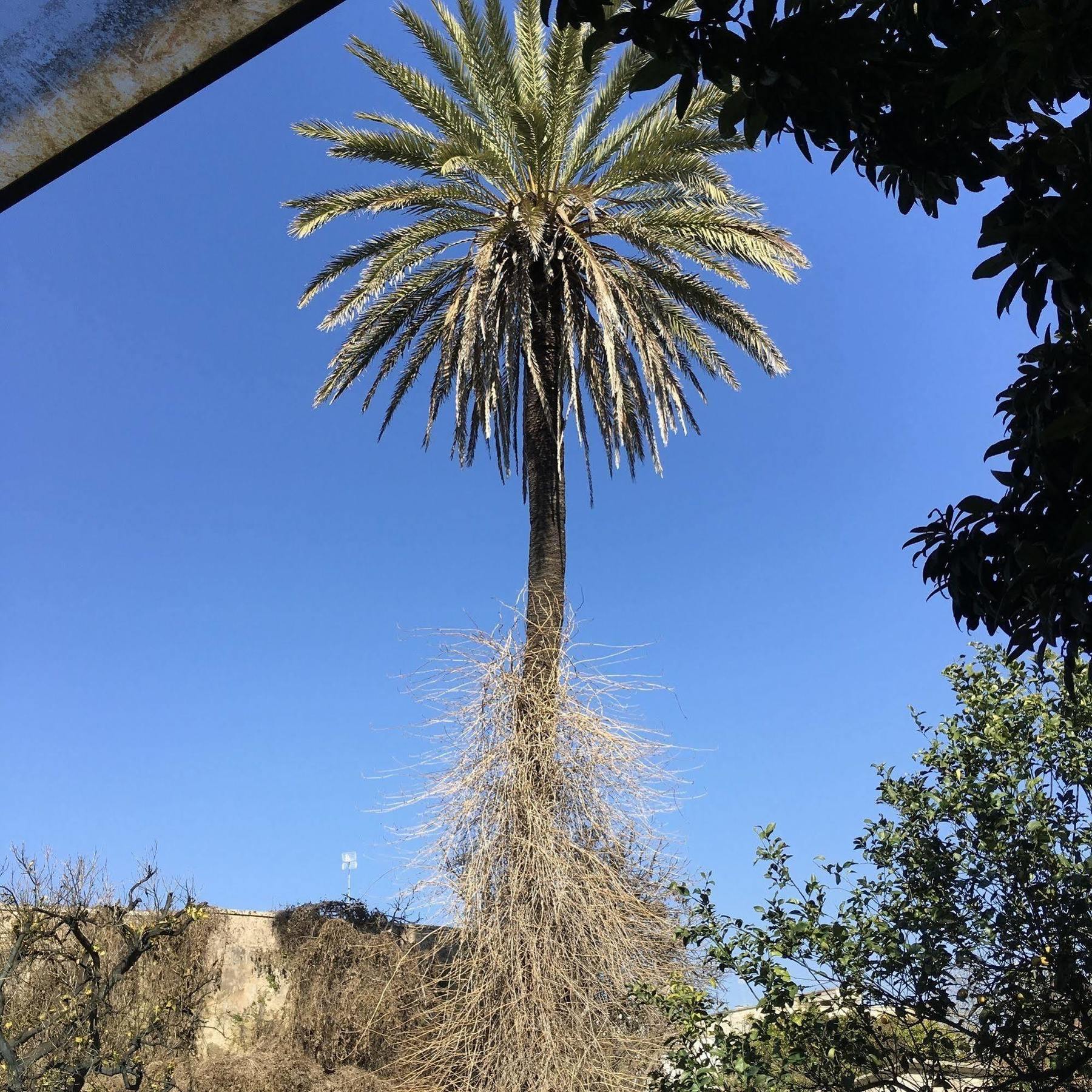 Vila Palazzo Sabella Tommasi Calimera  Exteriér fotografie